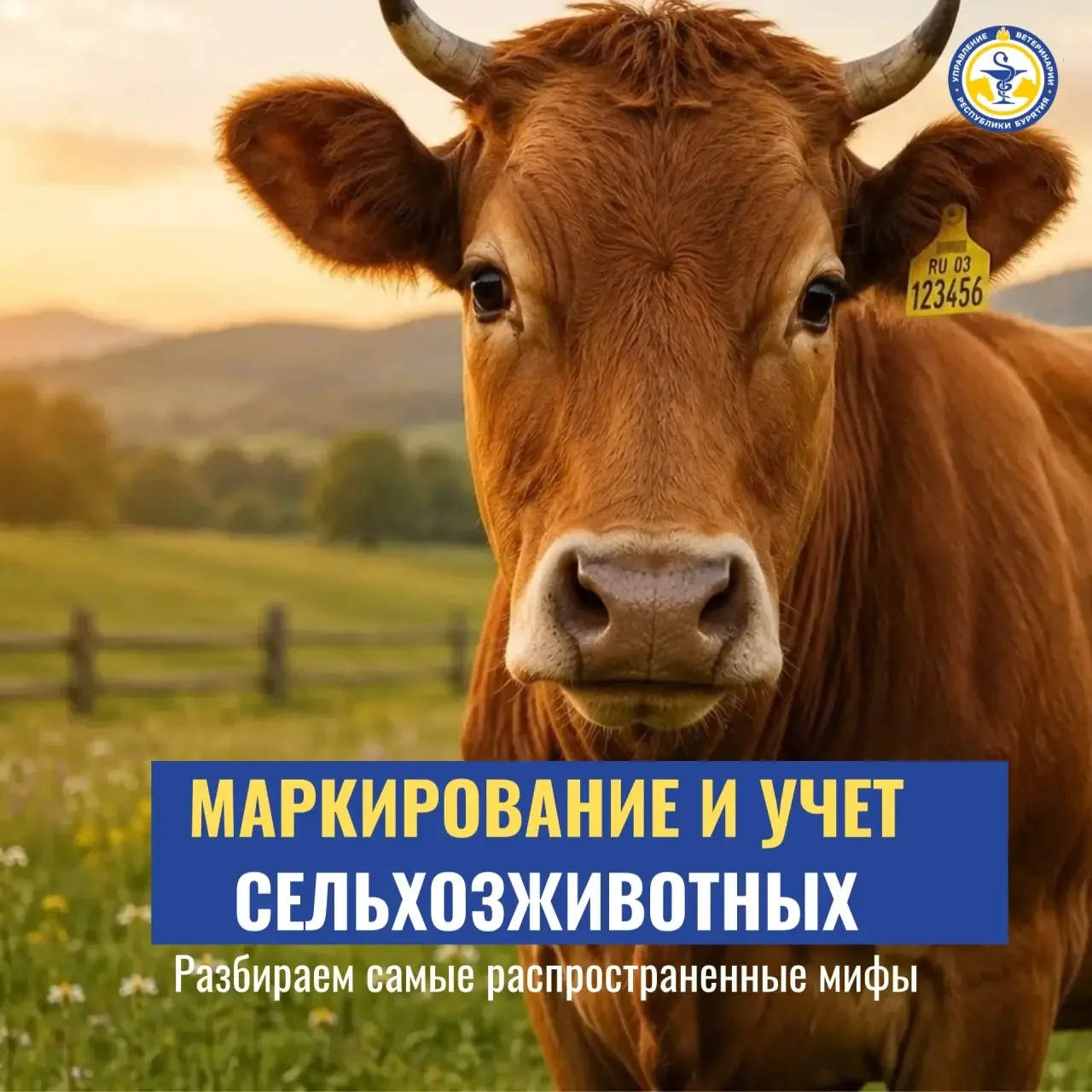 Маркирование и учет сельхозживотных. Разбираем самые распространенные мифы