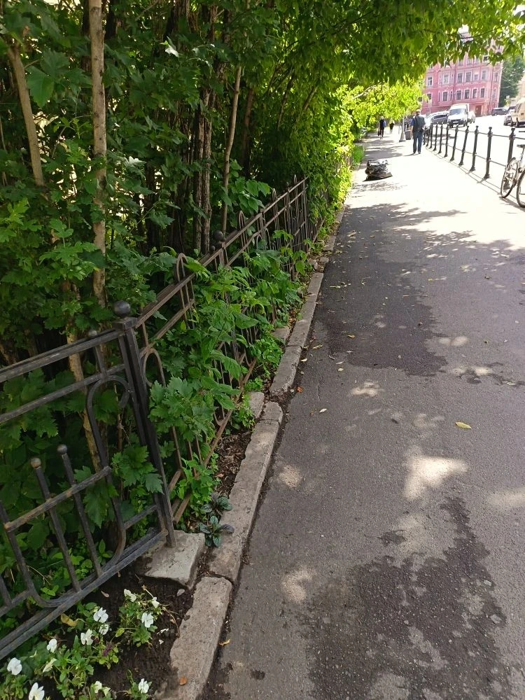 Уборка дворовой территории
