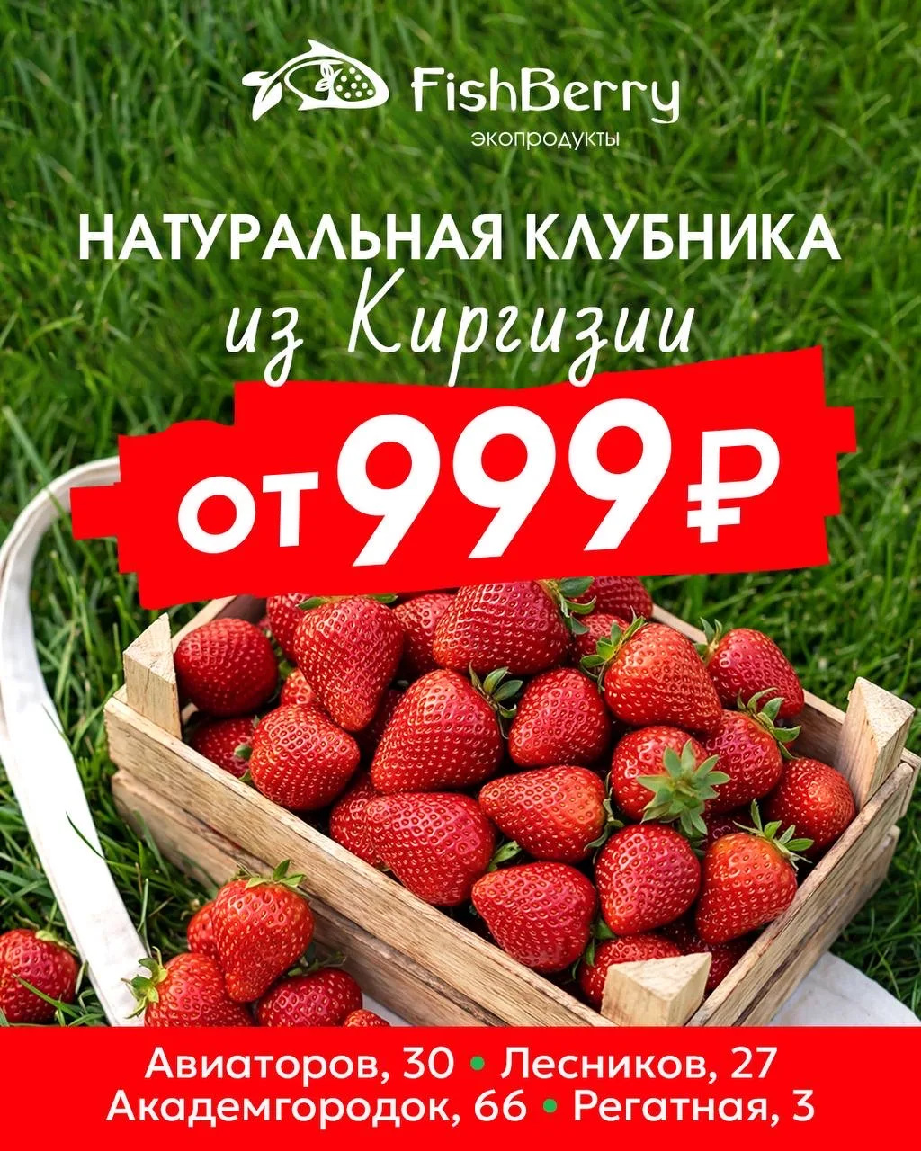КЛУБНИКА В НАЛИЧИИ   🍓🍓🍓🍓🍓🍓🍓🍓🍓🍓🍓  •Калибр супер крупный •Качество высшее  •Запах невероятный  •Вкус 