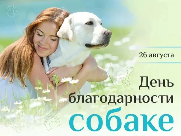 📆 26 августа 2026 года