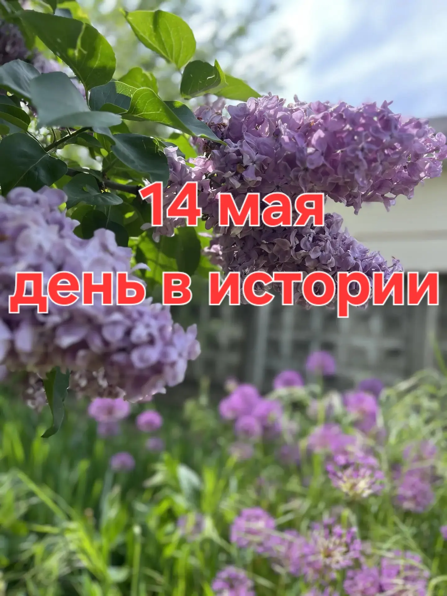 А знаете ли вы, что ❓