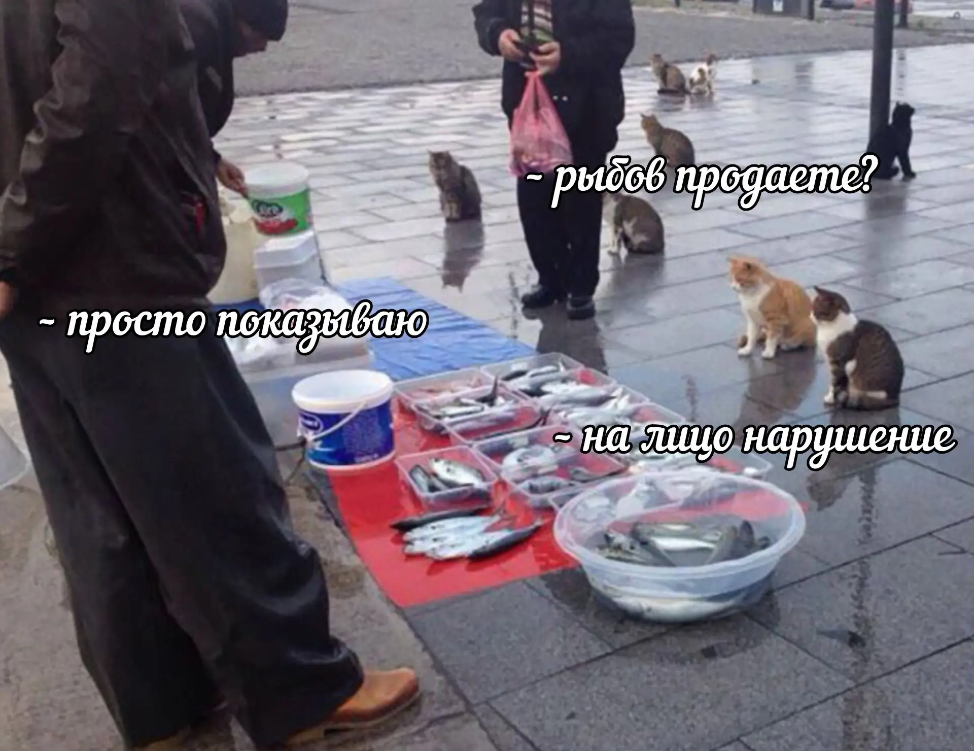 ФАС проверит цены на рыбу в России