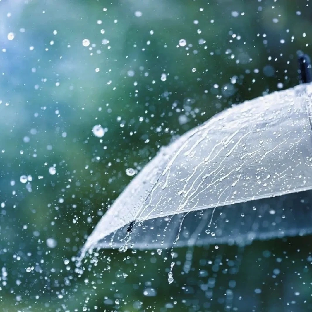⛈️🌬Дождь, местами сильный, гроза, порывы ветра до 13 м/с ожидаются по Курганской облас...