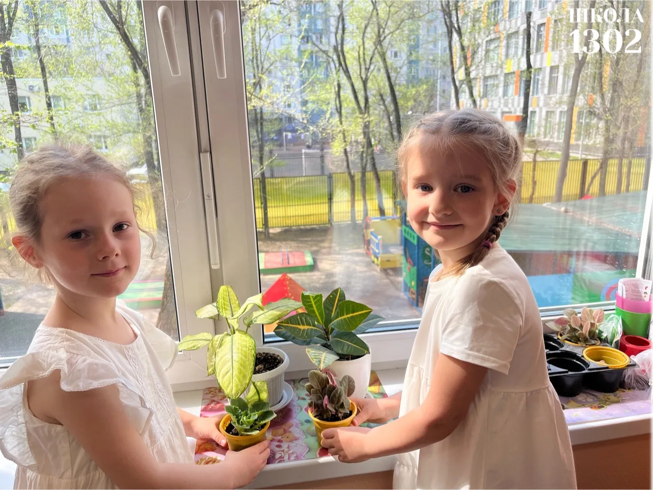 🌱 ОГОРОД НА ПОДОКОННИКЕ  В дошкольных группах ребята вместе с родителями и воспитателями посадили на