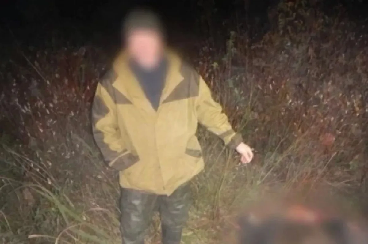 В Ярославской области задержали охотника, убившего лося без лицензии