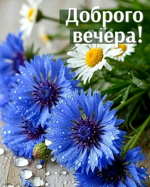 Доброго вечера!