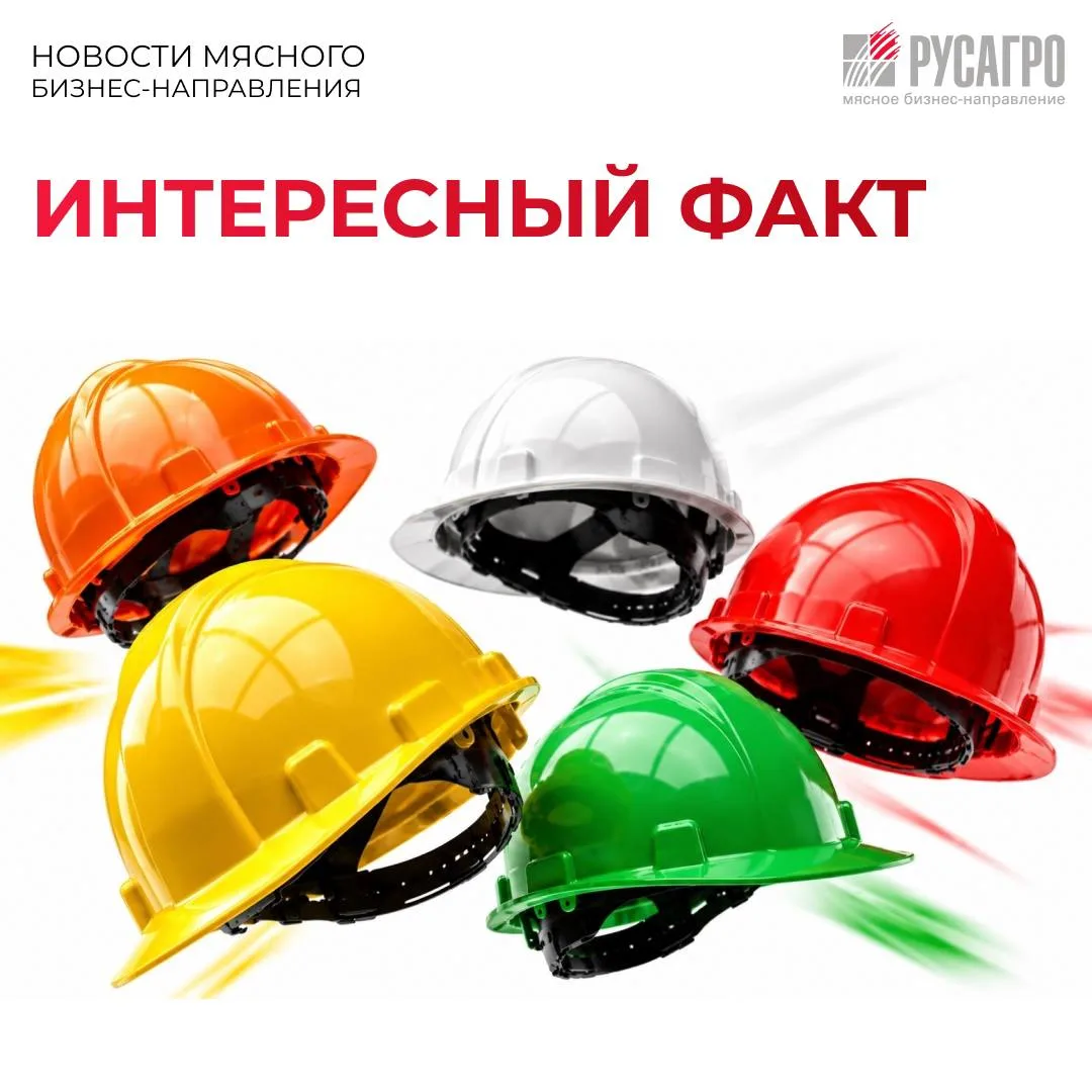 ⛑️Каска – это не только необходимое средство защиты на производстве, по ее цвету можно ...