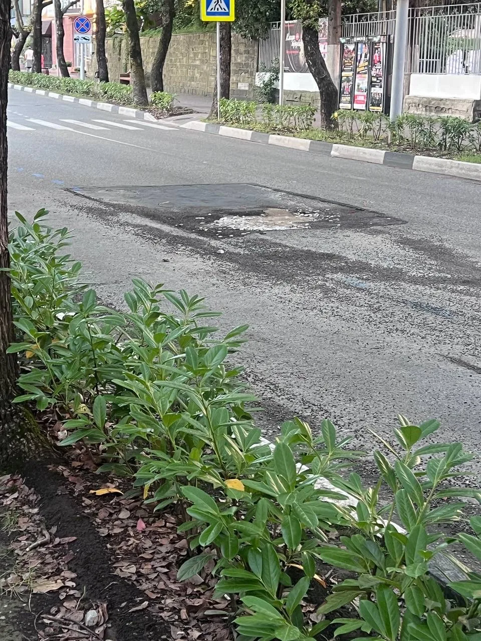 Новый асфальт не продержался и месяца 🚧