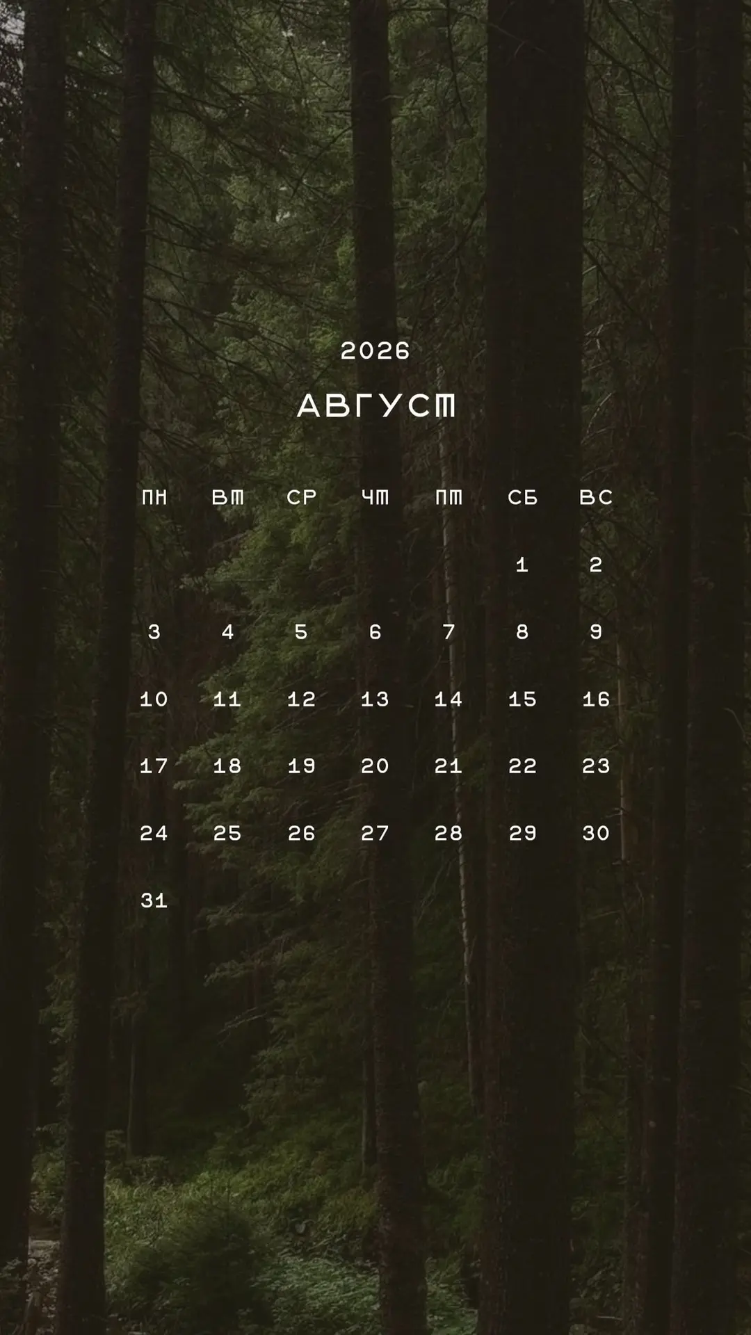 🌾Скажи августу ПРИВЕТ!🫂