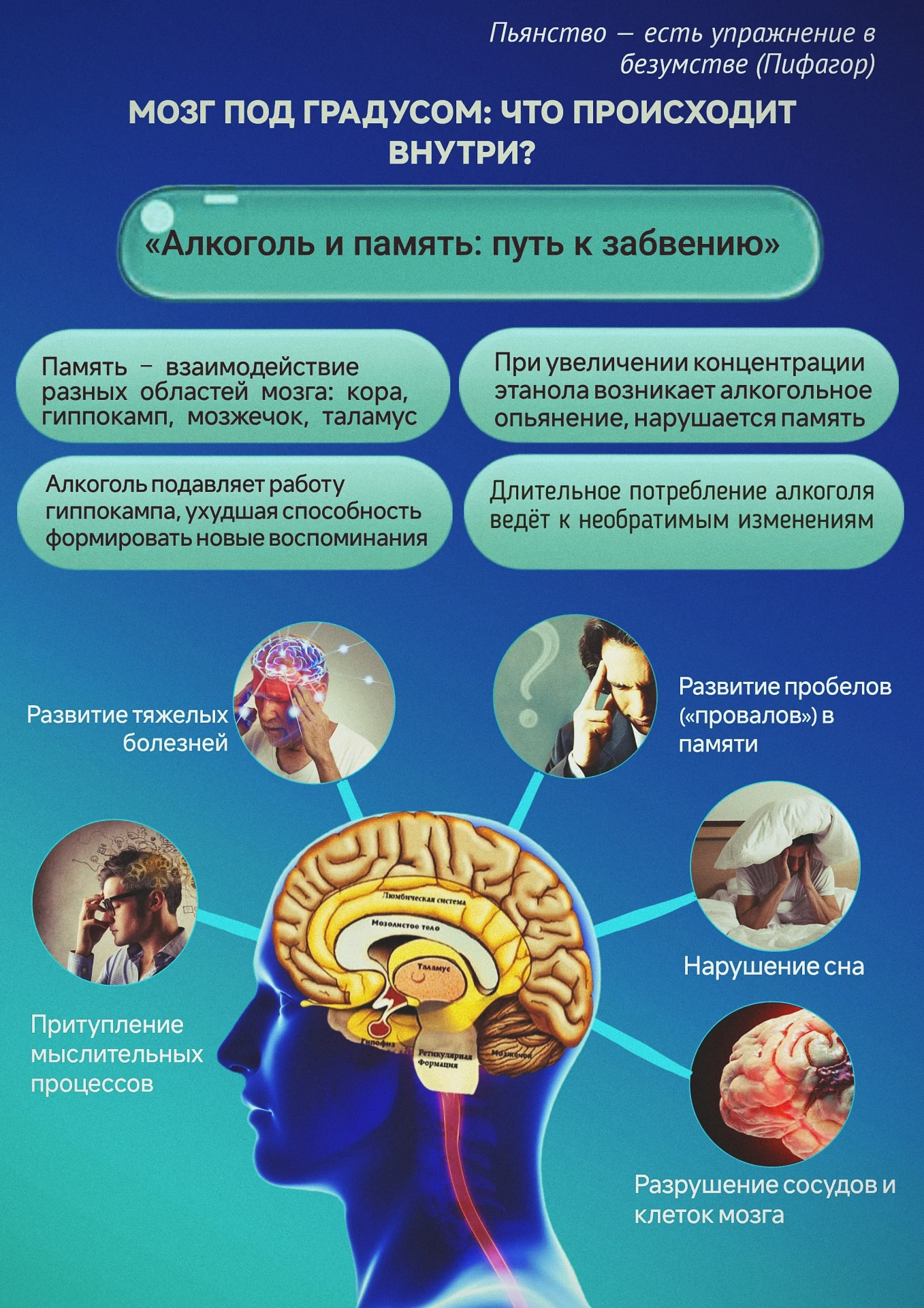 Алкоголь - это путь в никуда! (12+)
