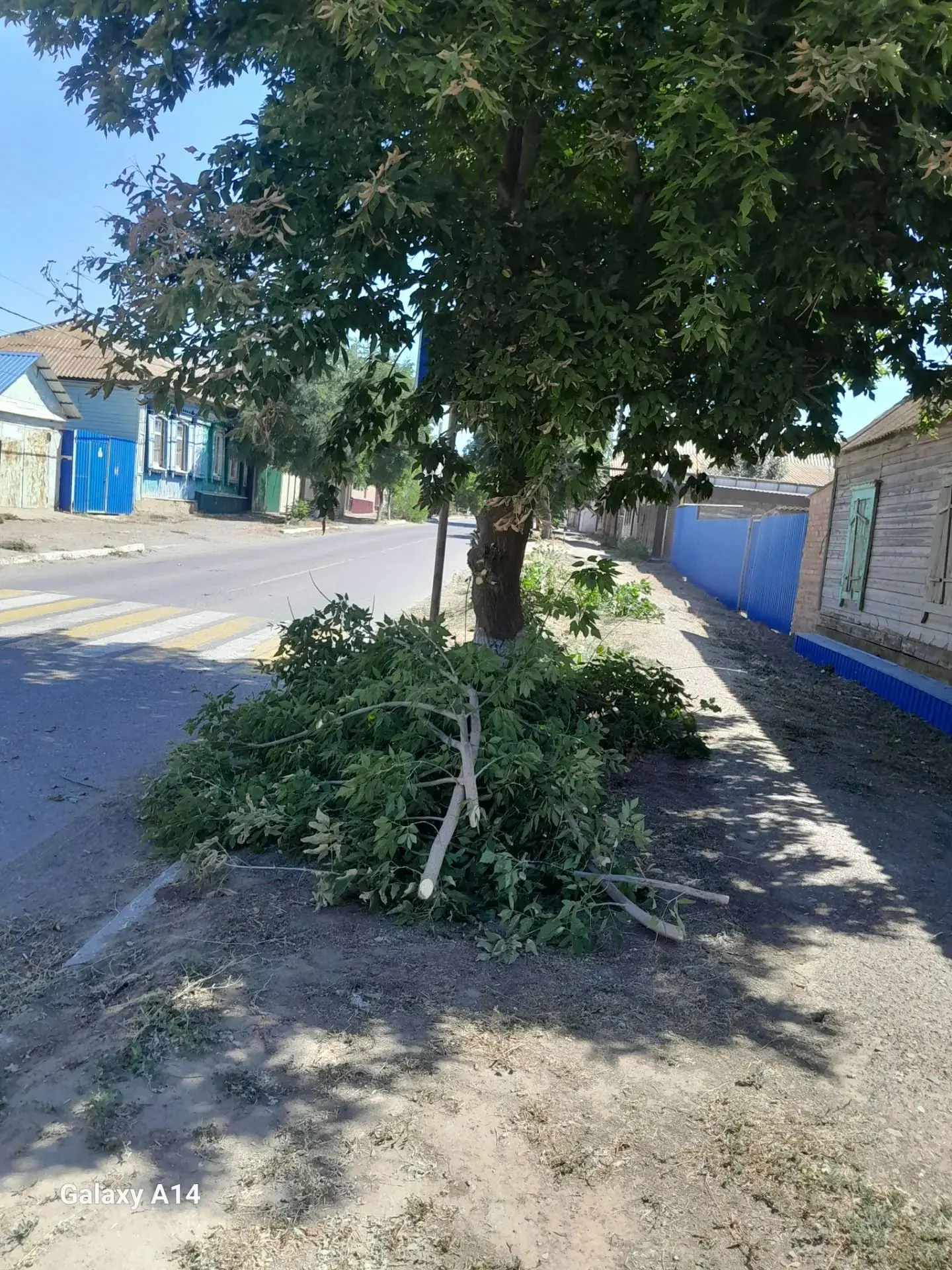 В Красноярском округе на регулярной основе проводятся работы по опиловке зелёных насажд...