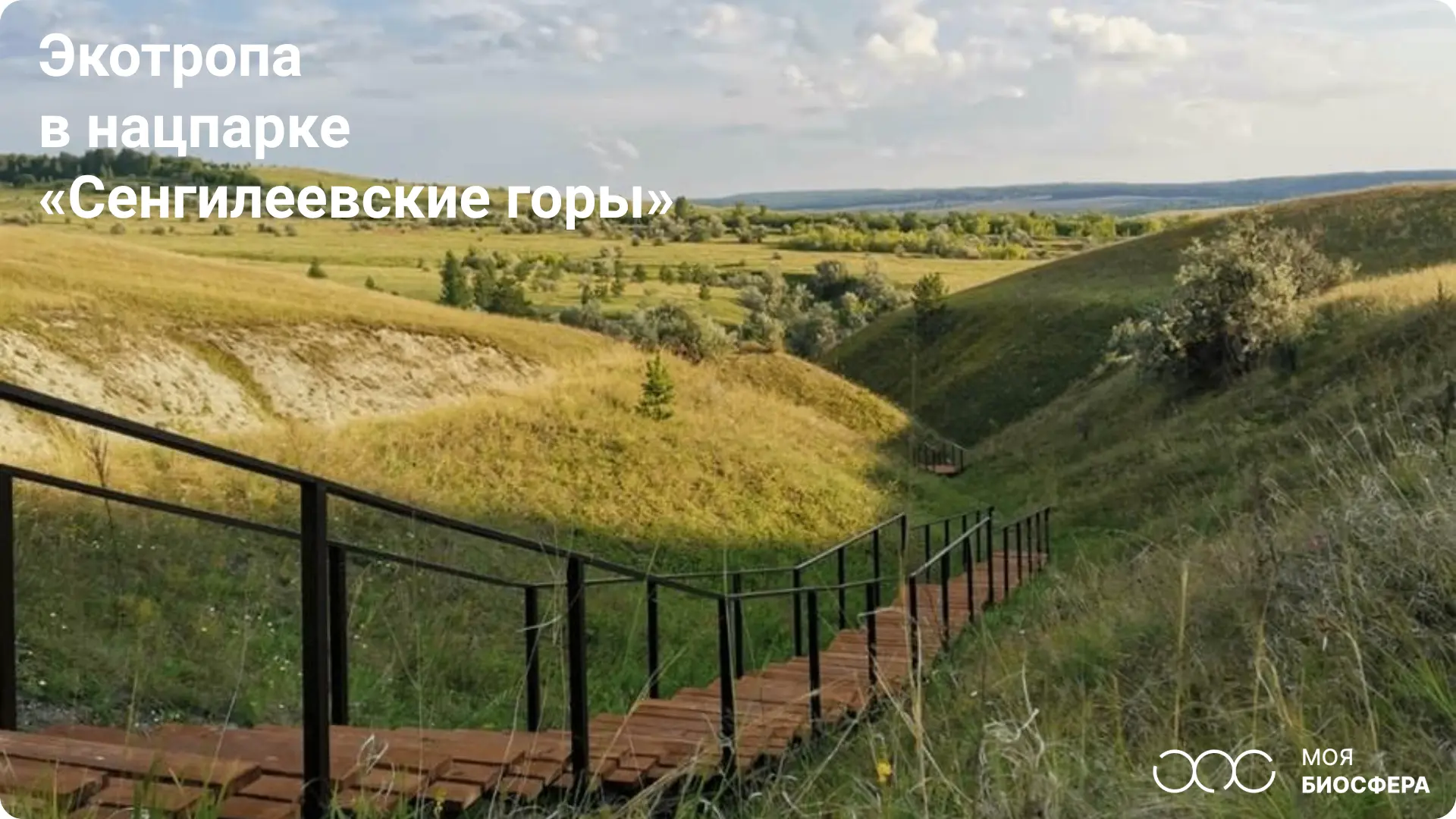 🙂 Где сурки не позируют для соцсетей