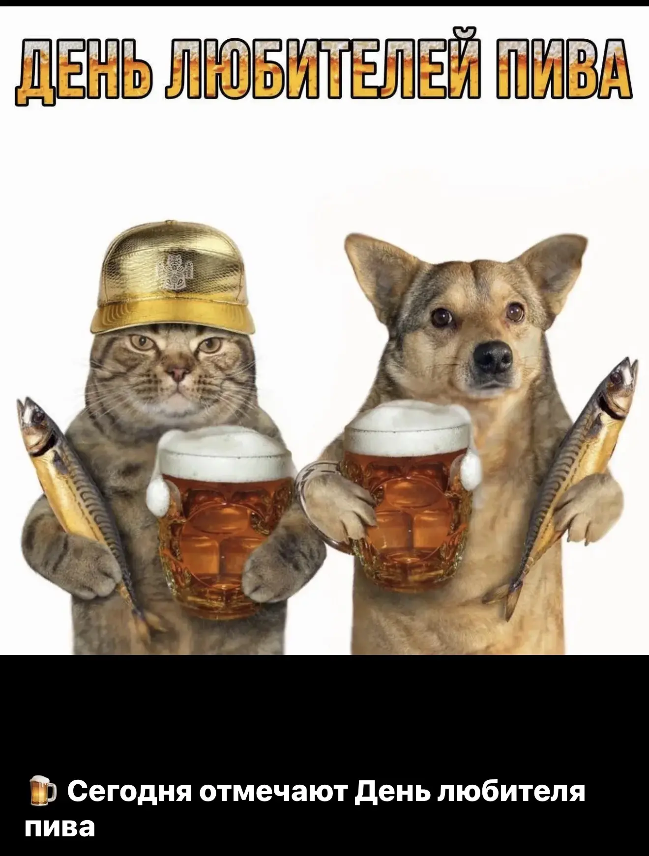 ‼️не забудь поздравить своего любителя 🍺😉