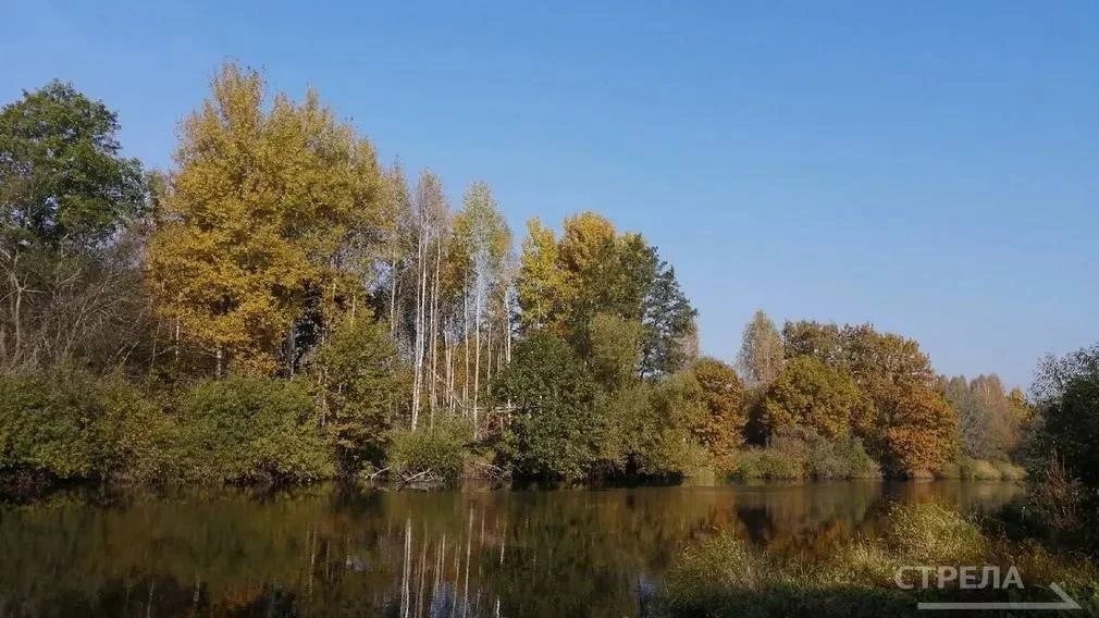 ⛅Завтра, 7 октября, в Брянской области ожидается переменная облачность. День пройдет бе...