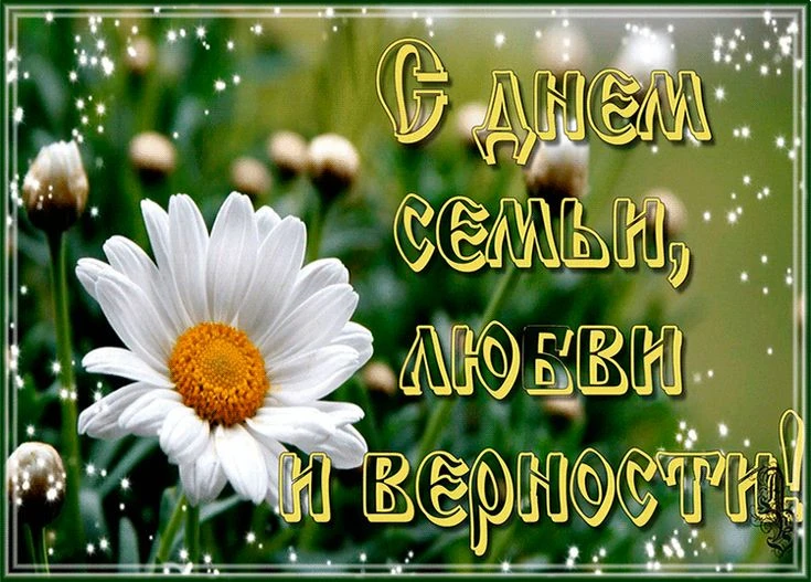 Дорогие друзья!