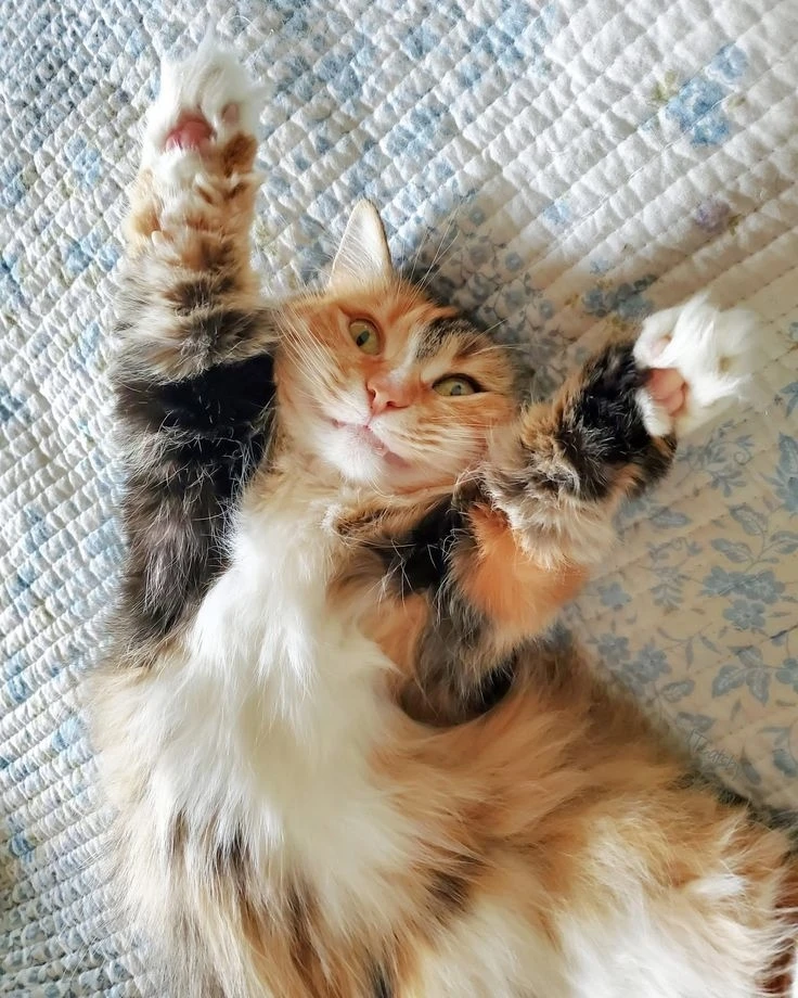 К обнимашкам готовы? 💖