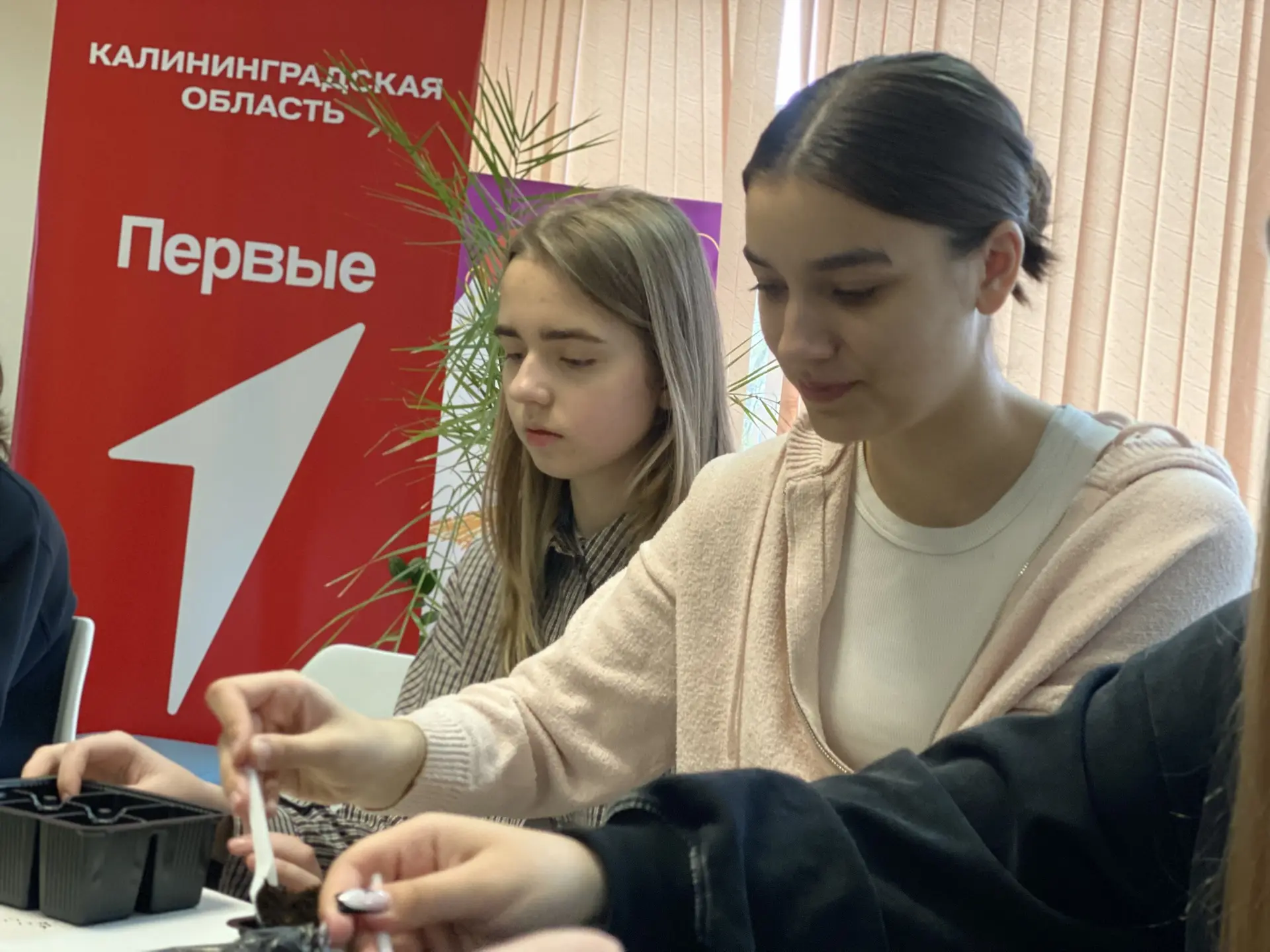 Дорогие друзья, уважаемые родители и учащиеся! 🌿    В нашей школе прошло особенное мероприятие, посв