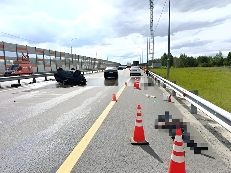 По вине жителя Чувашии в ДТП под Муромом погибли его коллеги