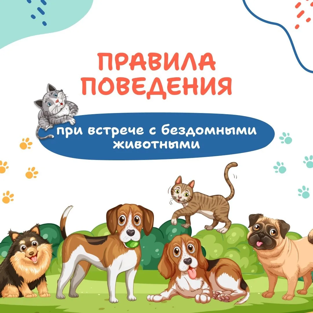 Безопасность детства! С каждым годом количество пострадавших людей от укусов собак растёт на 16,5%. 