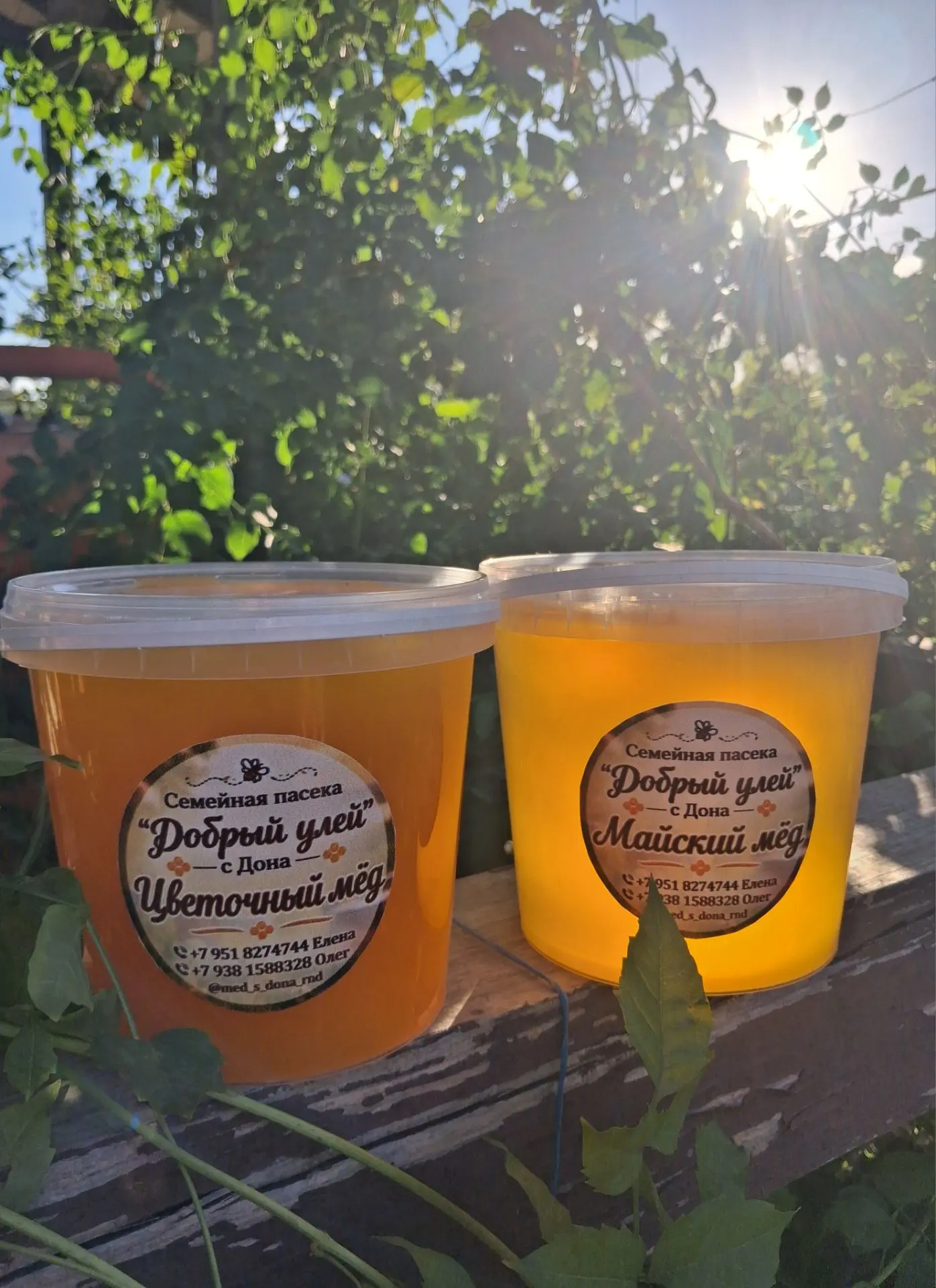 Мёд со своей пасеки 🍯