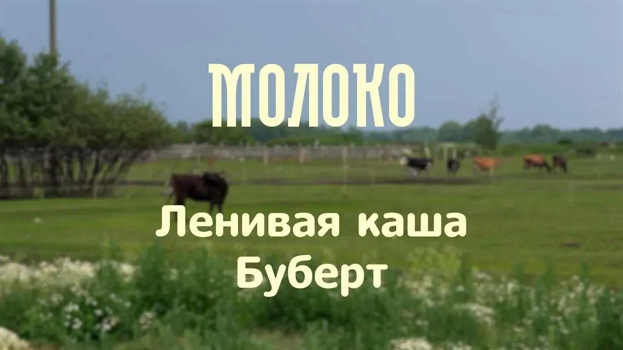 Ленивая каша. Буберт | проект «Молоко»