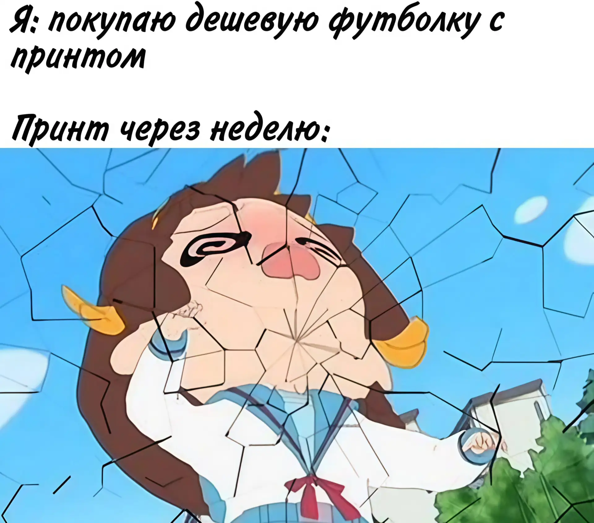🔘 наши проекты