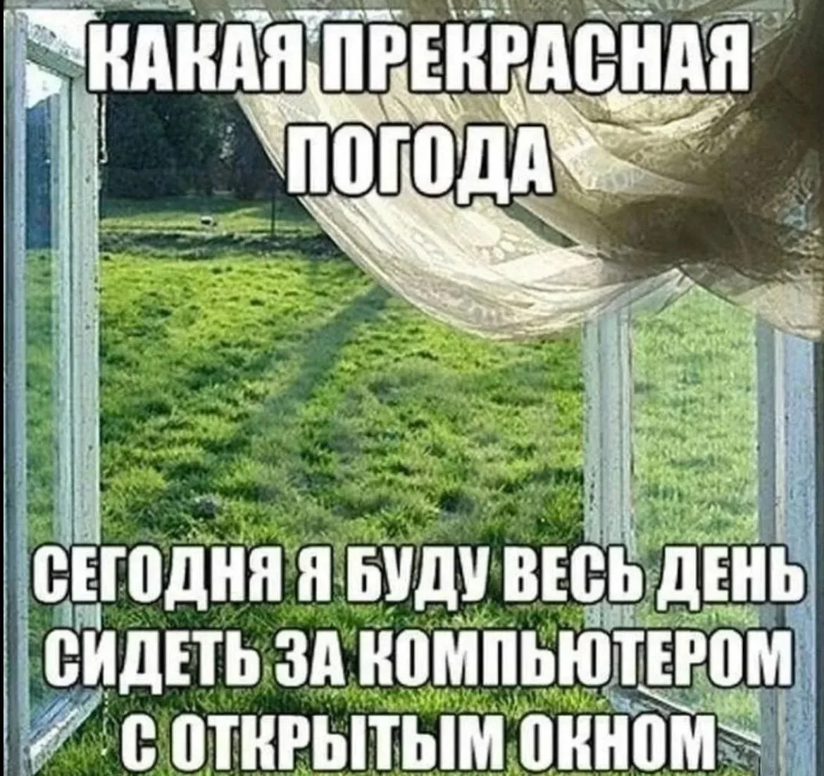 Доброе утро, Алтайский край! ❤️

С пятницей! 🤩

Подпишись 👇️ 
https://max.ru/altai_region22