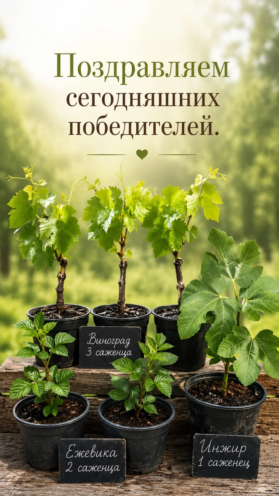 🏆 ПОЗДРАВЛЯЕМ ПОБЕДИТЕЛЕЙ, СДЕЛАВШИХ ЗАКАЗ В ПЯТНИЦУ!