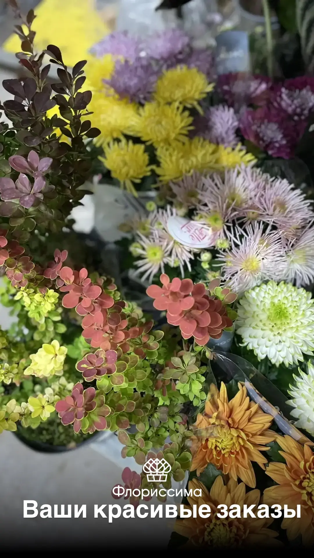 💐 Сегодня ваши заказы как никогда красивы!