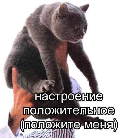 доброе утро..

67 МЕМОВ