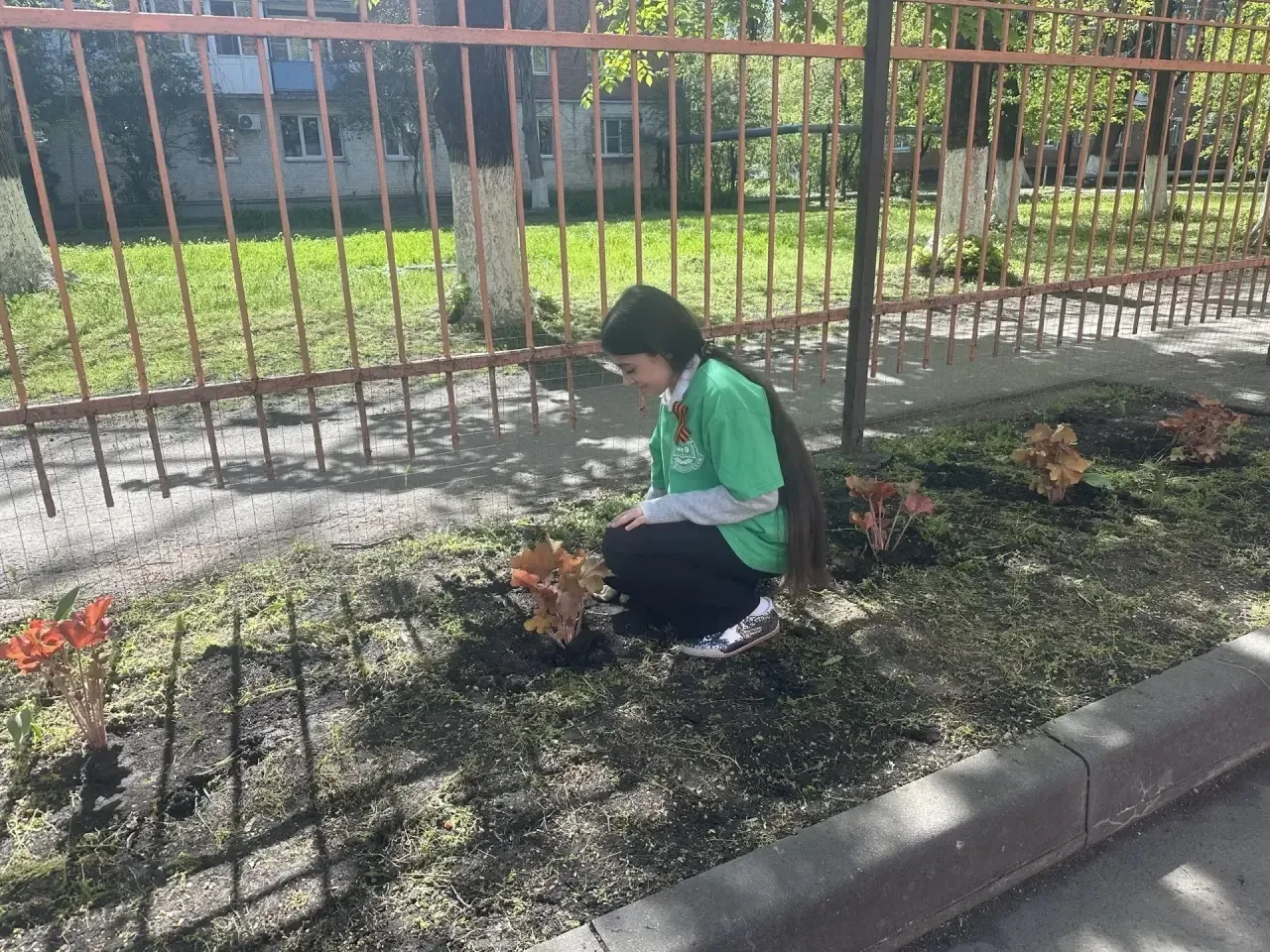 🌳 «Сад Памяти»: волонтёры и школьники почтили память героев Великой Отечественной войны  Волонтёры с