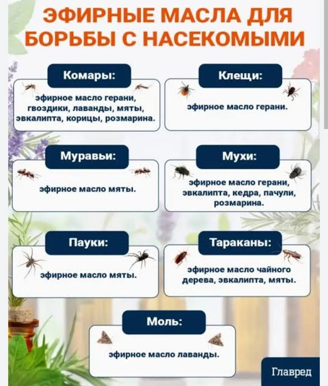 ‼️Как избежать укусов насекомых🦟