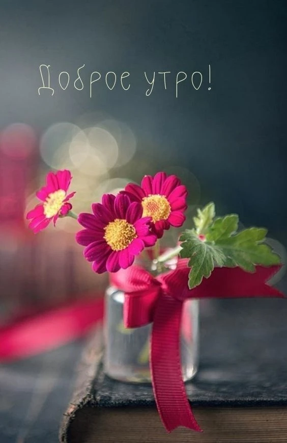 Жуковка | Брянская область🏡  🤗  Источник: https://vk.ru/wall-215423782_10031  ______________________