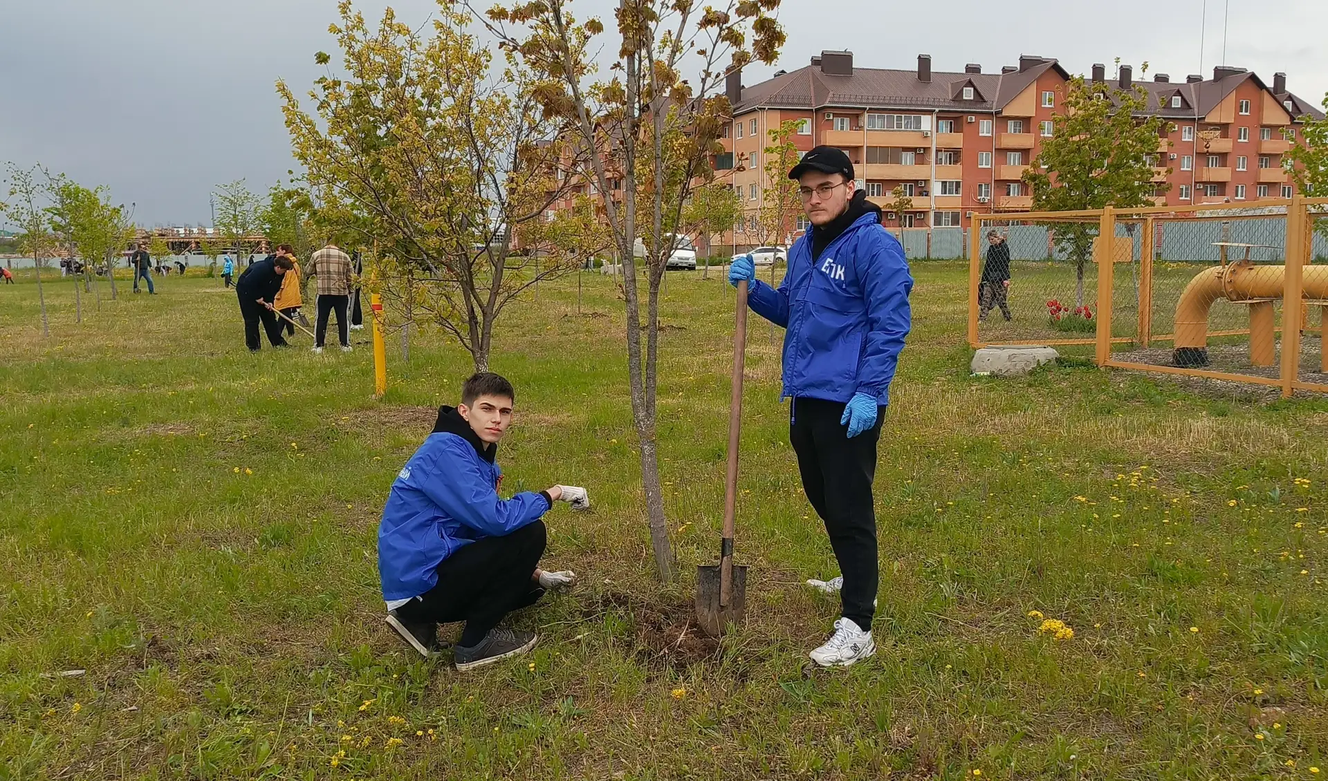 🌳 Студенты Ейского полипрофильного колледжа приняли участие в международной акции «Сад памяти».   🧹 