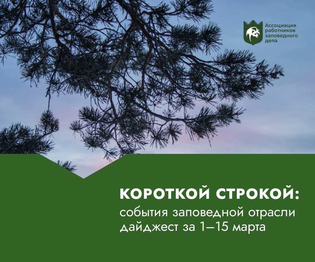 Первая половина марта богата на знаменательные даты. Собрали для вас ключевые события.