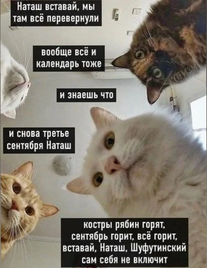 Костры рябин не горят, а календарь не переворачивают больше.