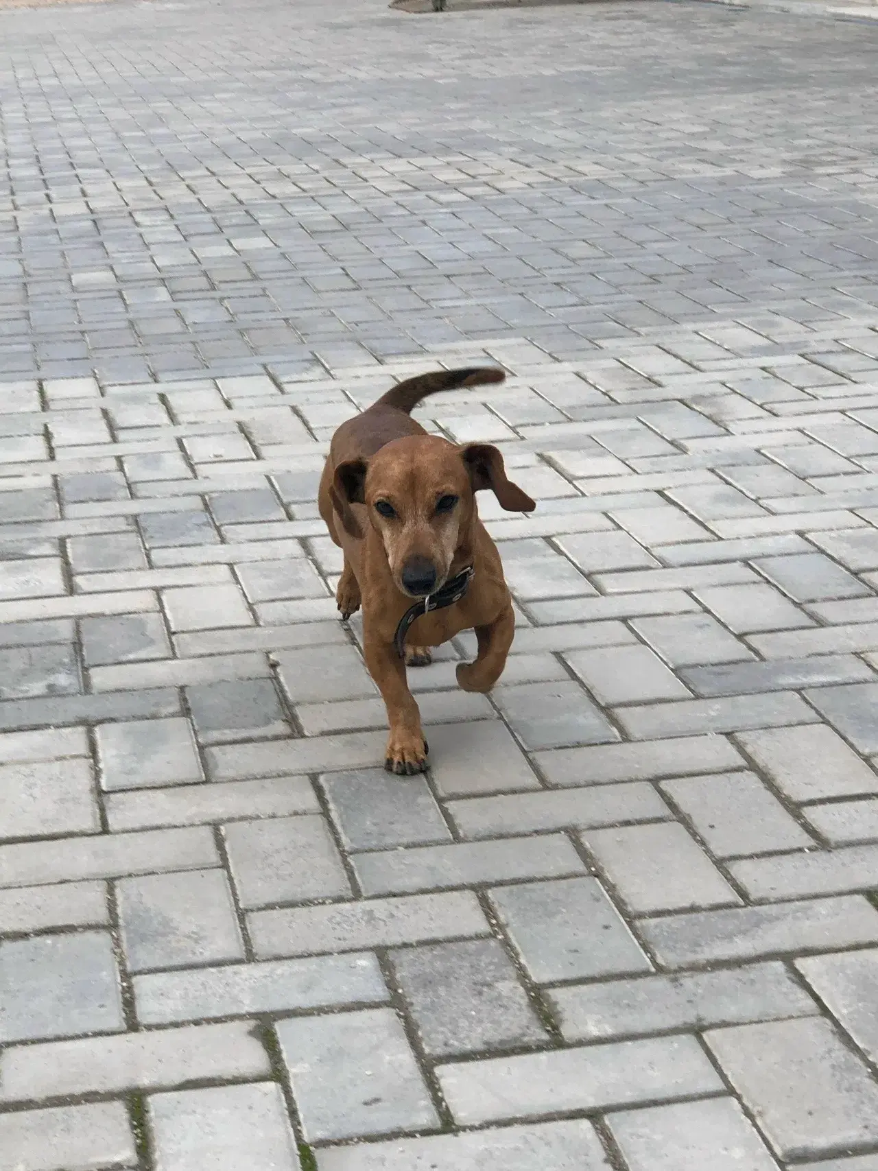СРОЧНО!!!