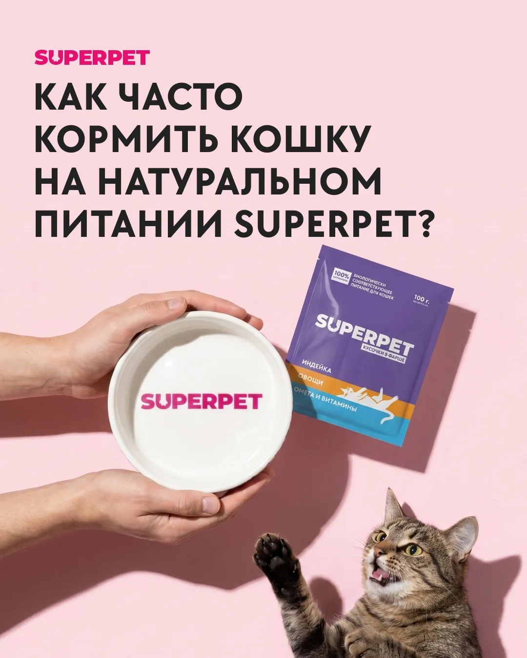 Как часто кормить кошку на натуральном питании SUPERPET