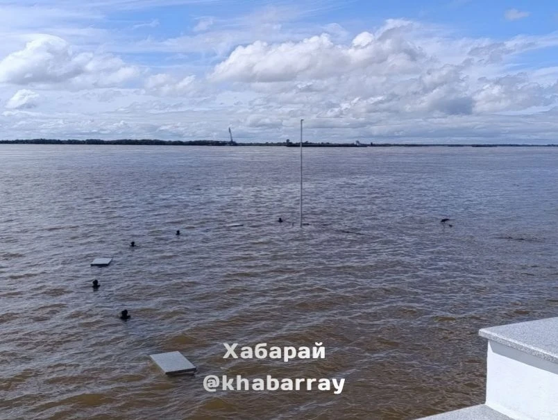 Паводок в Хабаровске: уровень Амура снизился до 505 см, подтоплены участки 🌊😱