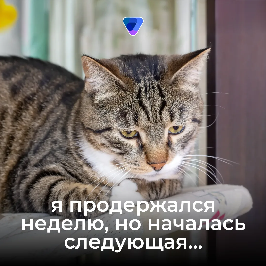 👨‍💻 Понедельничная проверка связи