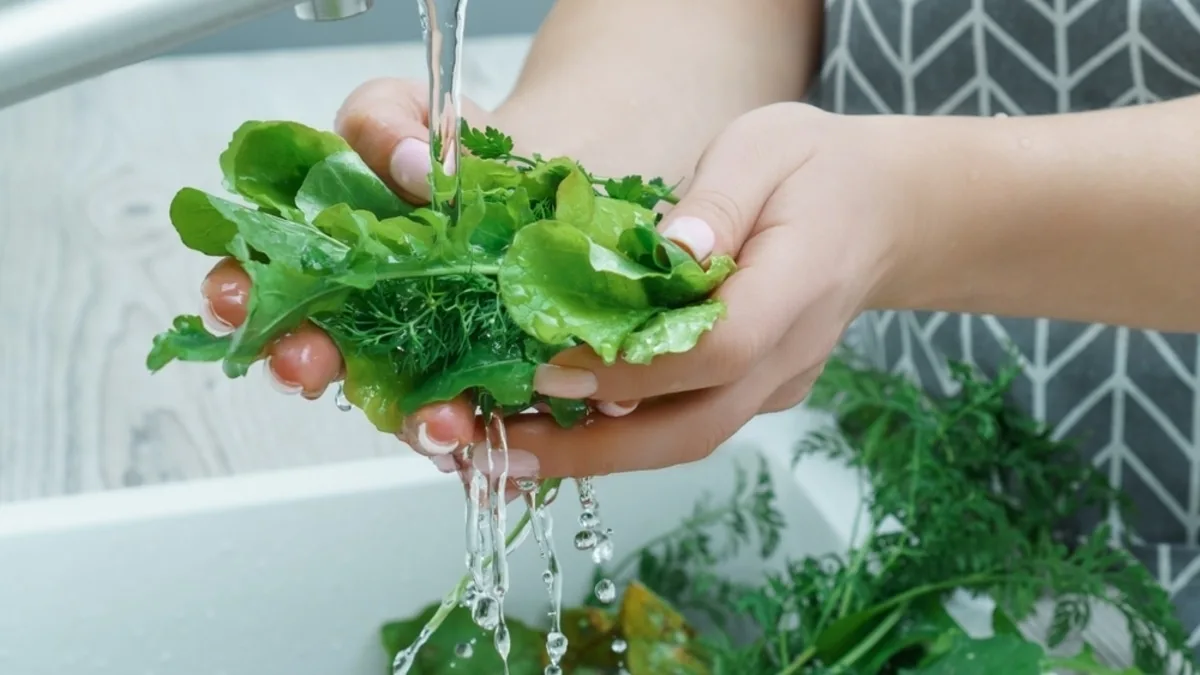 ✅ Как мыть зелень?

🥬 Свежая зелень делает блюда яркими и полезными, но перед употреблением ее важн