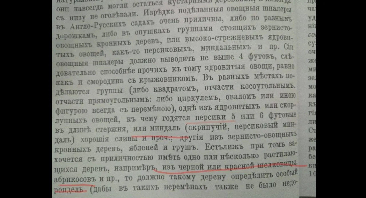 Персики, абрикосы, миндаль, шелковица в Петербурге в 18 веке. Плодовые деревья называют овощными.  1