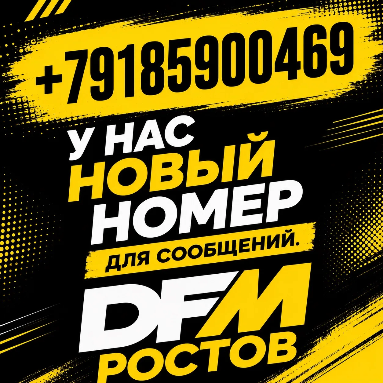 +79185900469
