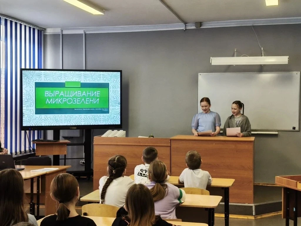 Юные исследователи представили свои проекты на школьной конференции