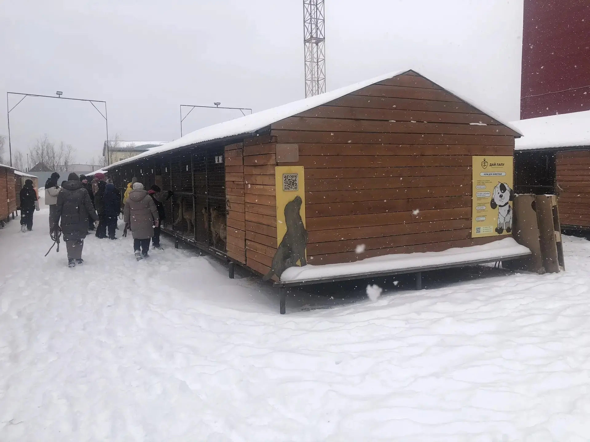 В МБОУ СШ 31 в рамках регионального проекта «Ученическая неделя добра в Югре», 18.04.2026 года прошл