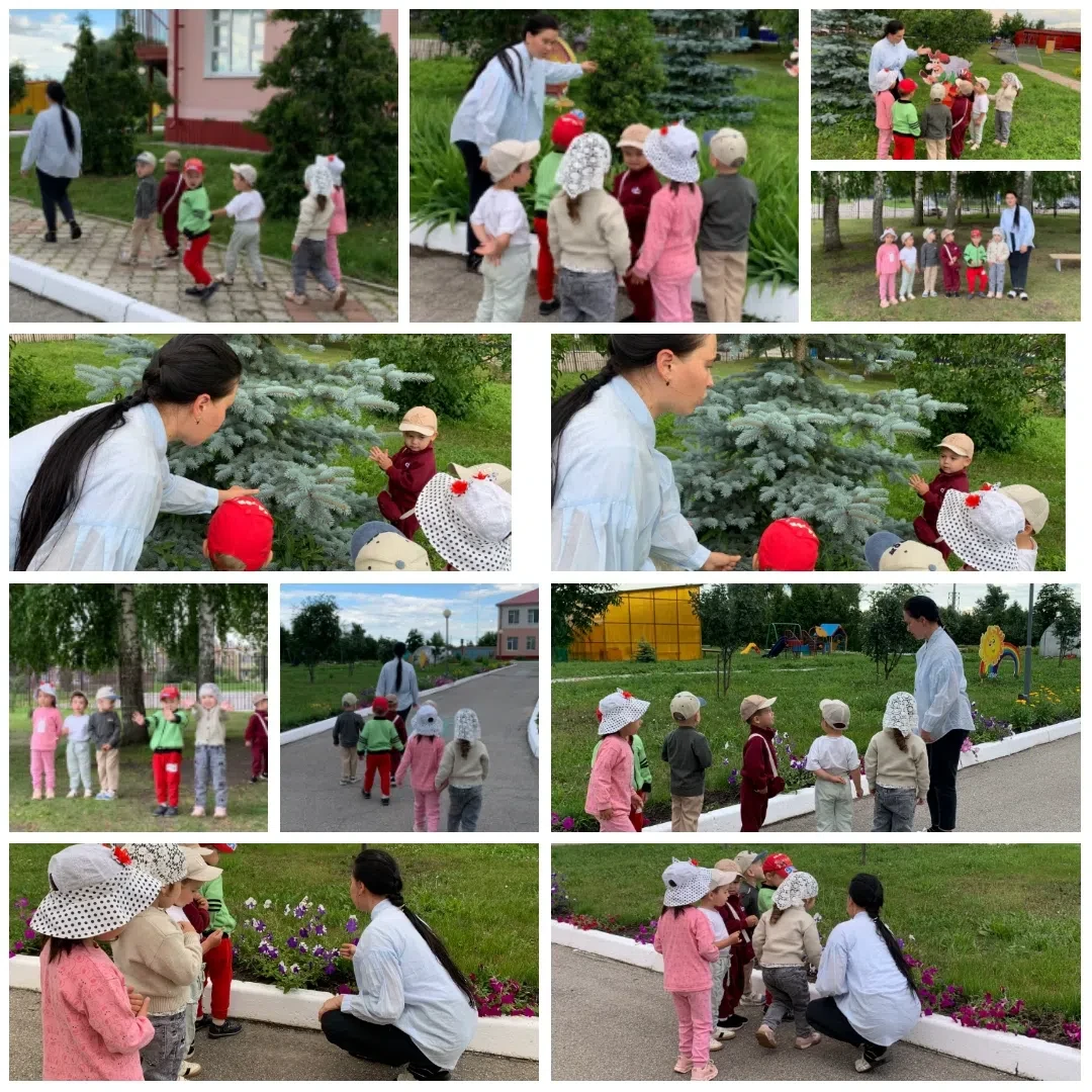 Небольшая прогулка — большие открытия! 🌿

Сегодня «Любознательные росточки» отправились в маленькое