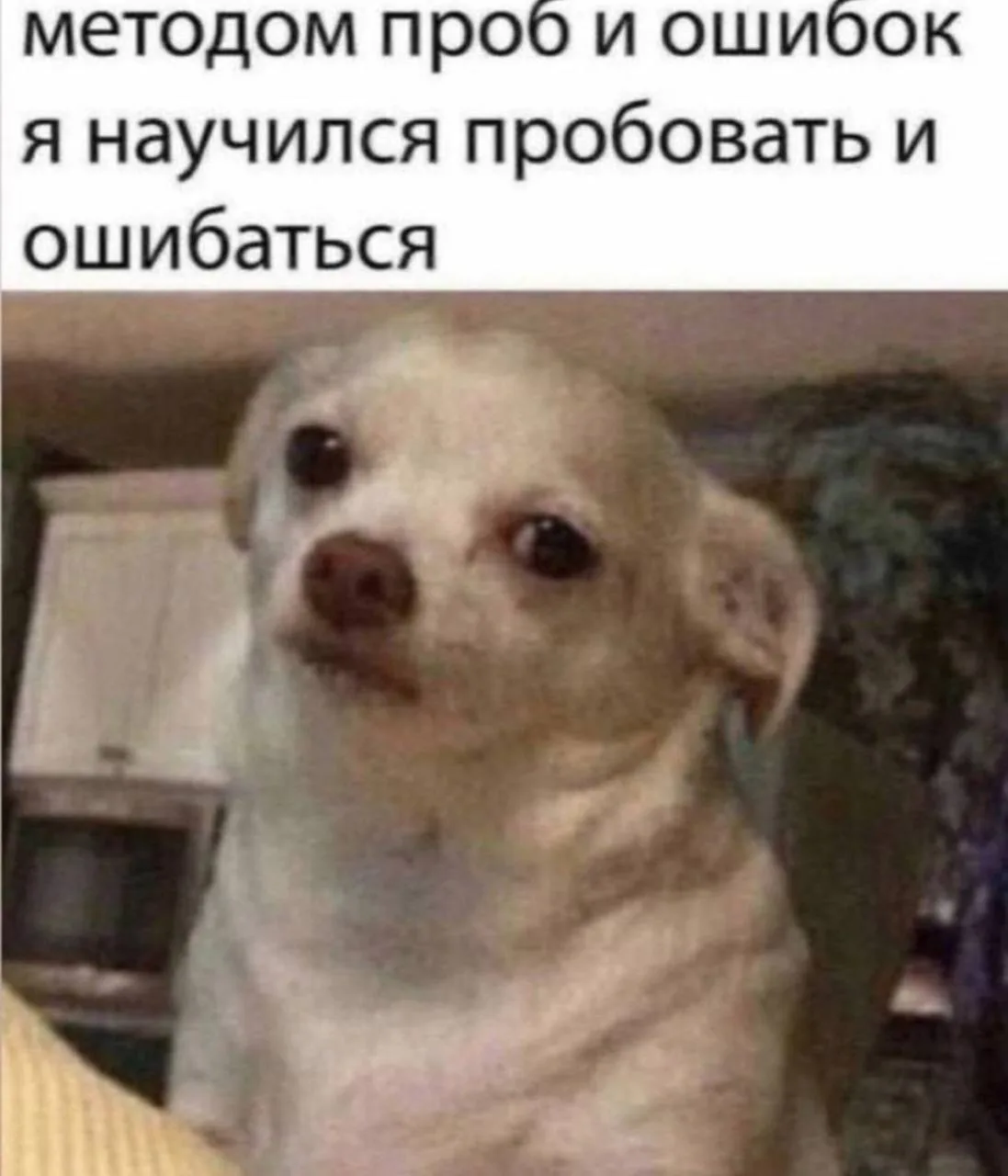 Методом проб и ошибок я научился пробовать и ошибаться 😁