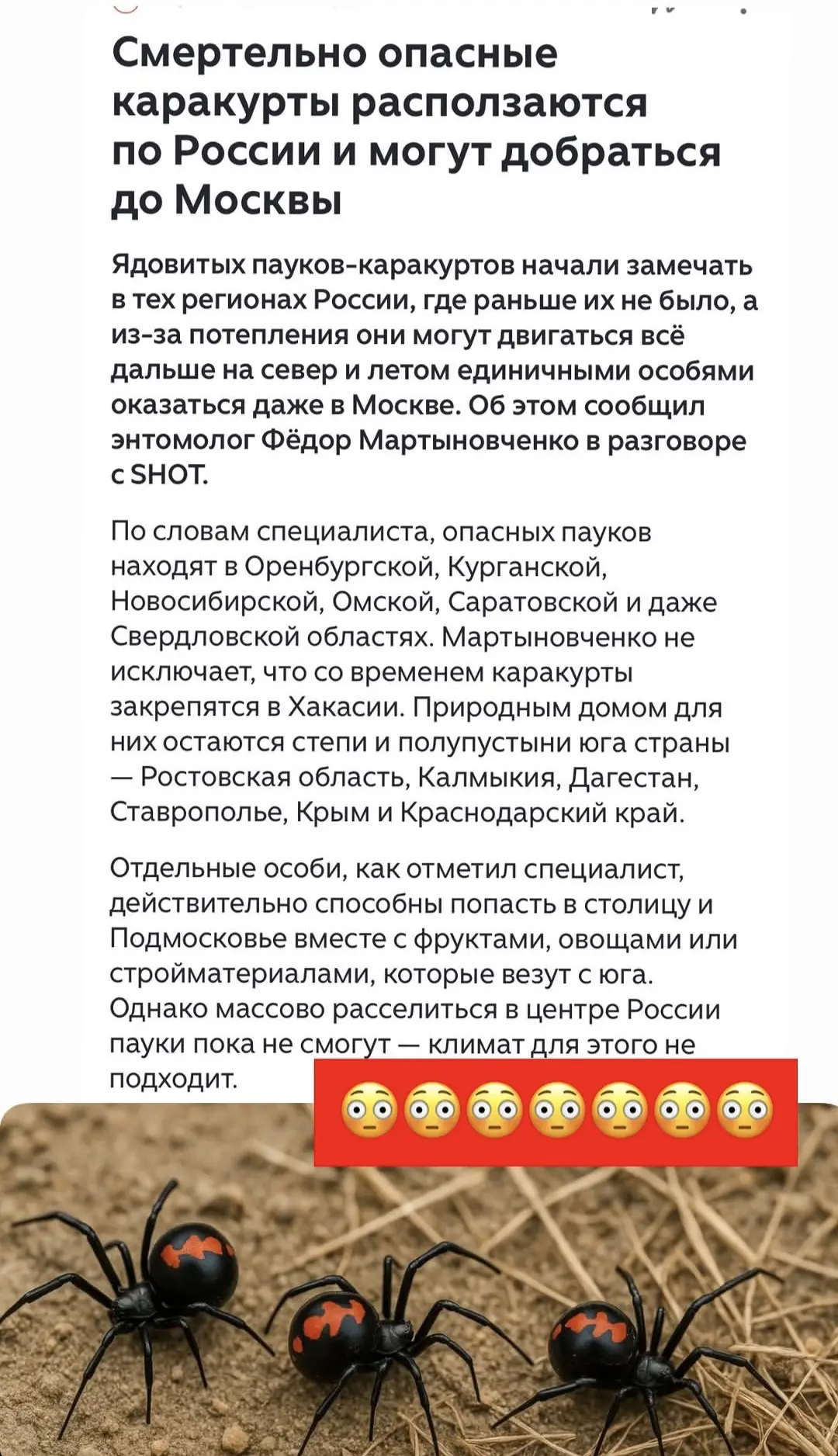Слышали об этом? 🕷