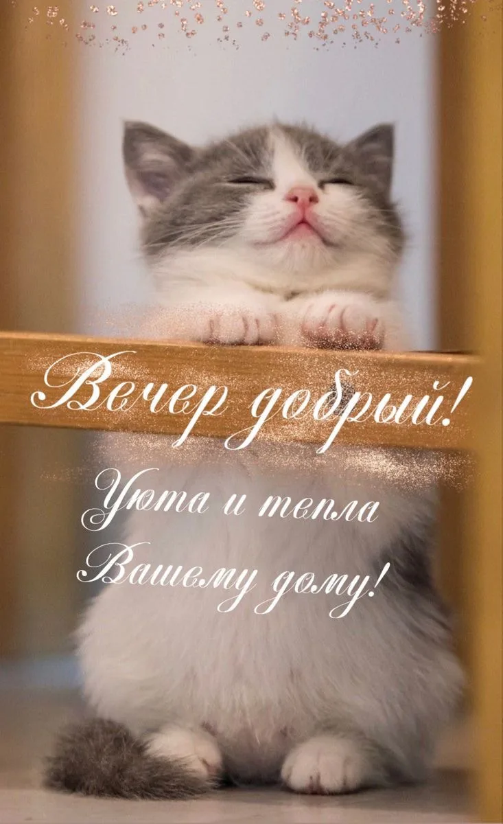 #хорошеговечера