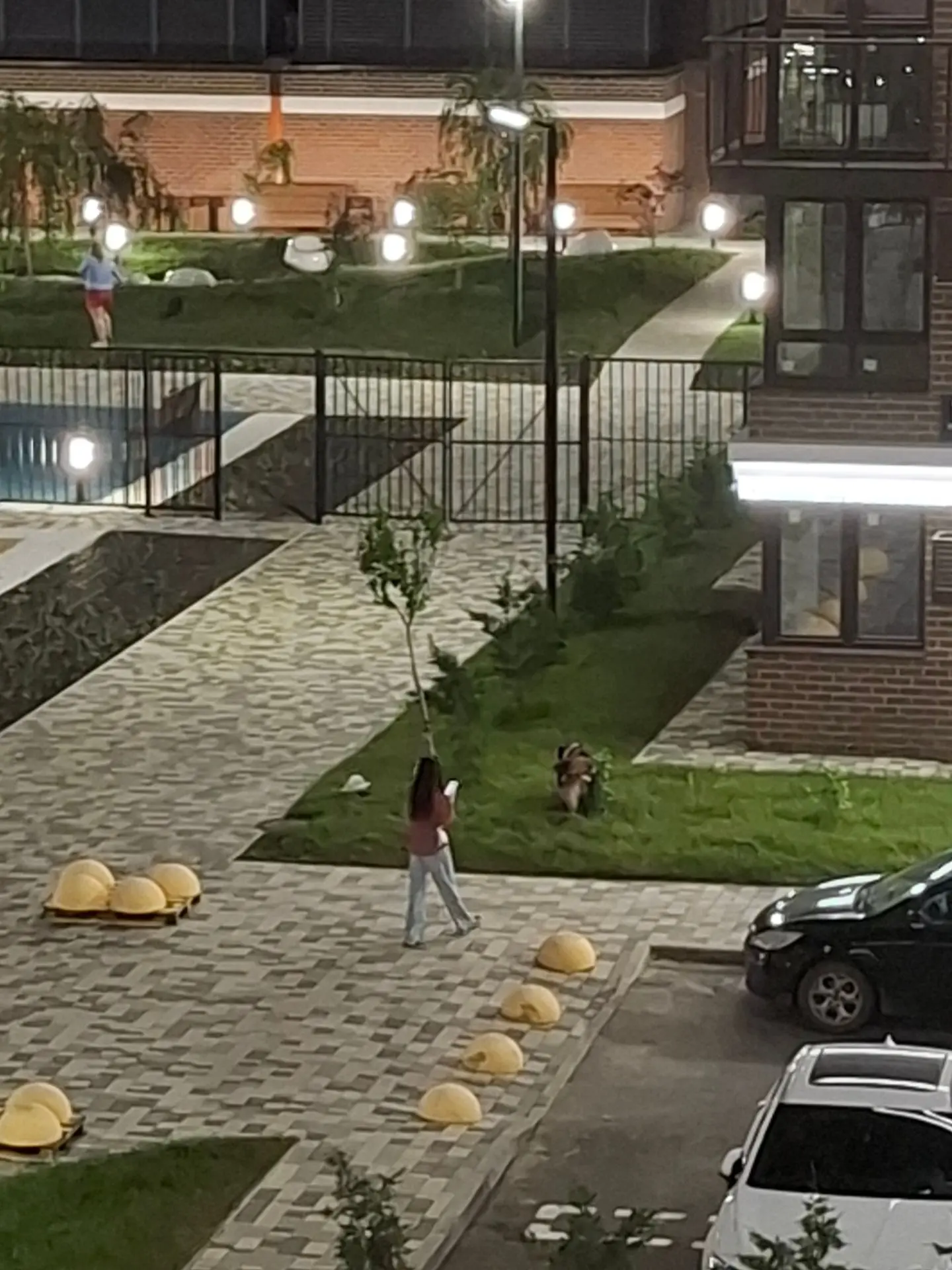 Девушка выгуливала сейчас крупную собаку БЕЗ поводка, причем  на детской площадке в том...